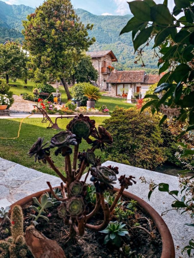 La Volta - Lake Como Heritage Home In Molino Maufet Watermill - Patio On The Garden Colico Kültér fotó